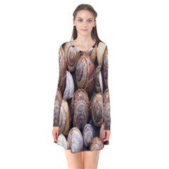 Snail Shells Pattern Arianta Arbustorum Long Sleeve V-neck Flare Dress by artworkshop