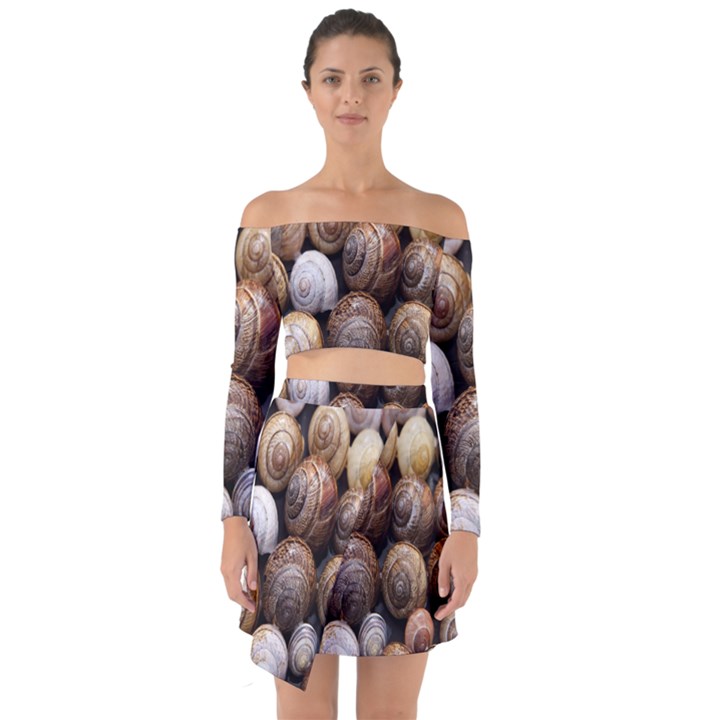 Snail Shells Pattern Arianta Arbustorum Off Shoulder Top with Skirt Set