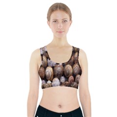 Snail Shells Pattern Arianta Arbustorum Sports Bra With Pocket by artworkshop