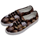 Snail Shells Pattern Arianta Arbustorum Men s Classic Low Top Sneakers View2