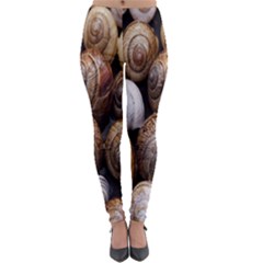 Snail Shells Pattern Arianta Arbustorum Lightweight Velour Leggings by artworkshop