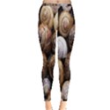 Snail Shells Pattern Arianta Arbustorum Inside Out Leggings View1