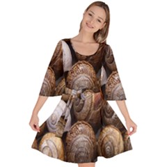 Snail Shells Pattern Arianta Arbustorum Velour Kimono Dress by artworkshop