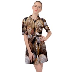 Snail Shells Pattern Arianta Arbustorum Belted Shirt Dress by artworkshop