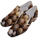 Snail Shells Pattern Arianta Arbustorum Women Slip On Heel Loafers View2