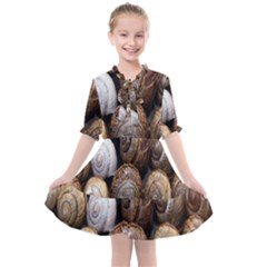 Snail Shells Pattern Arianta Arbustorum Kids  All Frills Chiffon Dress by artworkshop