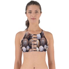 Snail Shells Pattern Arianta Arbustorum Perfectly Cut Out Bikini Top by artworkshop