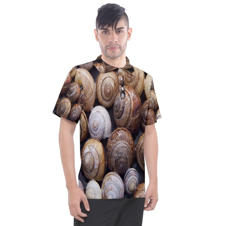 Snail Shells Pattern Arianta Arbustorum Men s Polo Tee