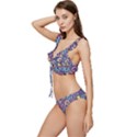 Whimsy Spring Floral Pattern Blue Low Cut Ruffle Edge Bikini Set View2