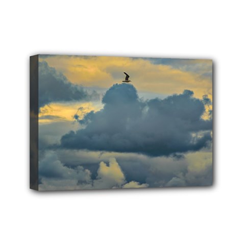 Bird Flying Over Stormy Sky Mini Canvas 7  X 5  (stretched) by dflcprintsclothing