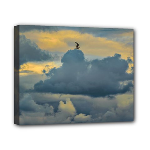 Bird Flying Over Stormy Sky Canvas 10  X 8  (stretched) by dflcprintsclothing