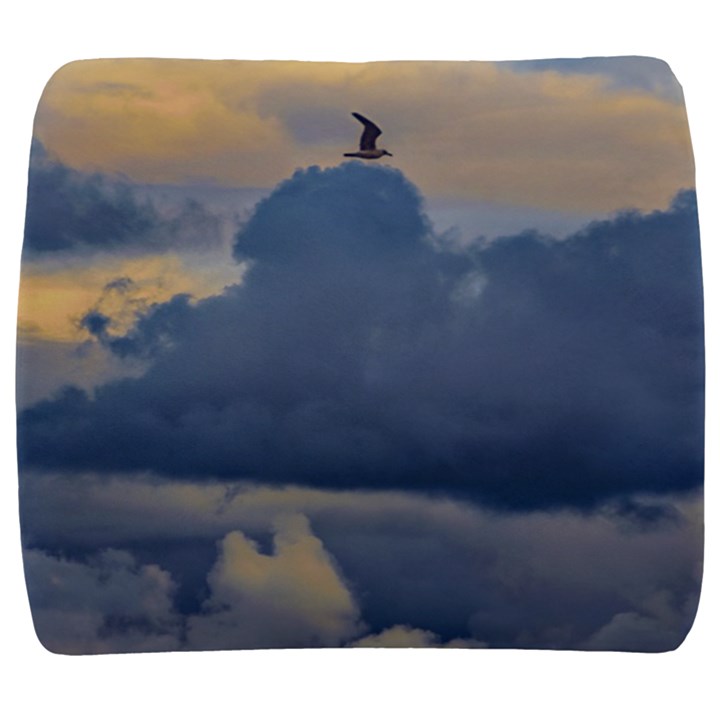 Bird Flying Over Stormy Sky Back Support Cushion