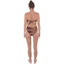 Strip-brown Tie Back One Piece Swimsuit View2