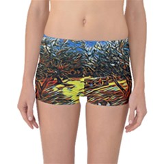 Colorful Verona Olive Tree Boyleg Bikini Bottoms by ConteMonfrey