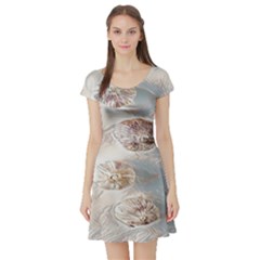 There`s Not Such A Thing As Too Much Garlic! Short Sleeve Skater Dress by ConteMonfrey