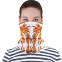 Dragon Symmetry I Face Seamless Bandana (Adult) View1