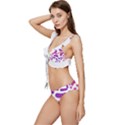  Im Fourth Dimension Fazzme Low Cut Ruffle Edge Bikini Set View2