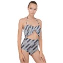 Pale Multicolored Stripes Pattern Scallop Top Cut Out Swimsuit View1