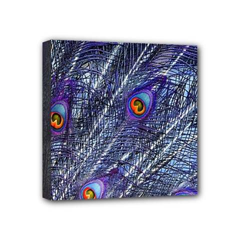 Peacock-feathers-color-plumage Blue Mini Canvas 4  X 4  (stretched) by danenraven