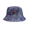 Peacock-feathers-color-plumage Blue Inside Out Bucket Hat View4