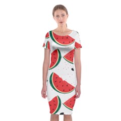 Watermelon Seamless Pattern Classic Short Sleeve Midi Dress