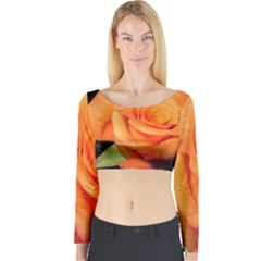 Color Of Desire Long Sleeve Crop Top by tomikokhphotography