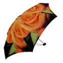 Color of Desire Mini Folding Umbrellas View2