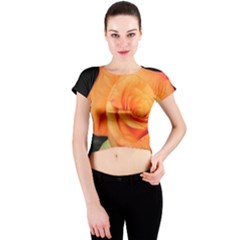 Color Of Desire Crew Neck Crop Top by tomikokhphotography