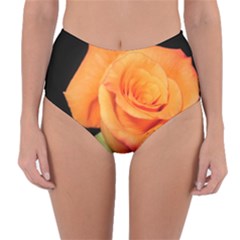 Color Of Desire Reversible High-waist Bikini Bottoms