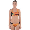 Color of Desire Cross Back Hipster Bikini Set View1