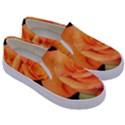 Color of Desire Kids  Canvas Slip Ons View3