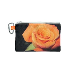 Color Of Desire Canvas Cosmetic Bag (small)