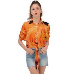 Color Of Desire Tie Front Shirt 