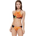 Color of Desire Banded Triangle Bikini Set View1