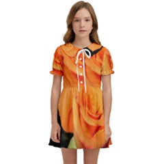 Color Of Desire Kids  Sweet Collar Dress