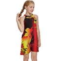 Red Light II Kids  Halter Collar Waist Tie Chiffon Dress View3