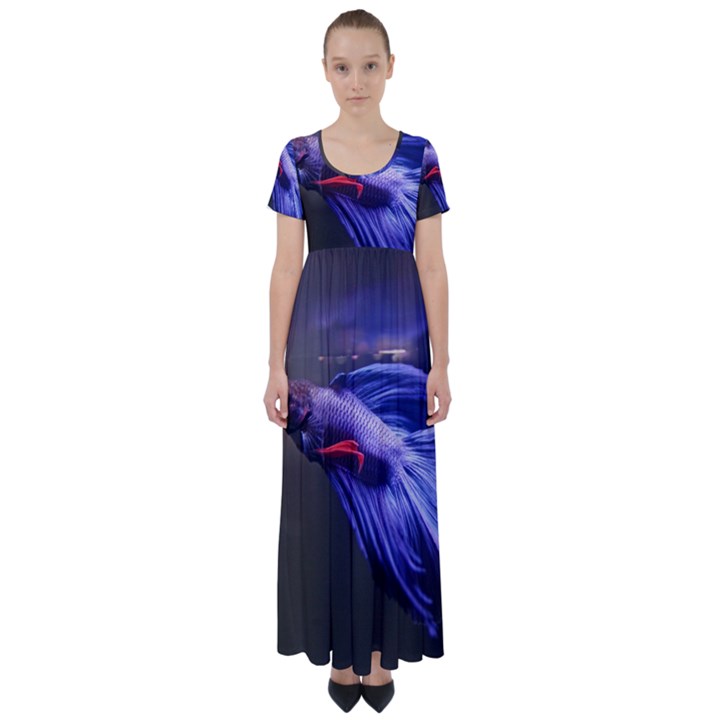 Betta Fish Photo And Wallpaper Cute Betta Fish Pictures High Waist Short Sleeve Maxi Dress