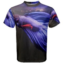 Betta Fish Photo And Wallpaper Cute Betta Fish Pictures Men s Cotton Tee