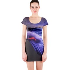 Betta Fish Photo And Wallpaper Cute Betta Fish Pictures Short Sleeve Bodycon Dress by StoreofSuccess