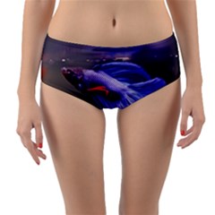 Betta Fish Photo And Wallpaper Cute Betta Fish Pictures Reversible Mid-waist Bikini Bottoms by StoreofSuccess