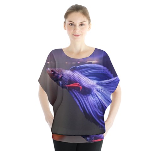 Betta Fish Photo And Wallpaper Cute Betta Fish Pictures Batwing Chiffon Blouse by StoreofSuccess