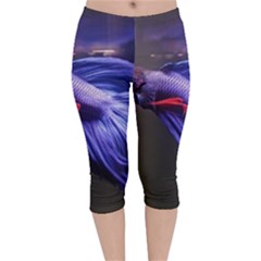 Betta Fish Photo And Wallpaper Cute Betta Fish Pictures Velvet Capri Leggings  by StoreofSuccess