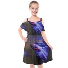 Betta Fish Photo And Wallpaper Cute Betta Fish Pictures Kids  Cut Out Shoulders Chiffon Dress by StoreofSuccess