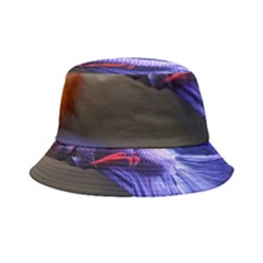 Betta Fish Photo And Wallpaper Cute Betta Fish Pictures Bucket Hat by StoreofSuccess