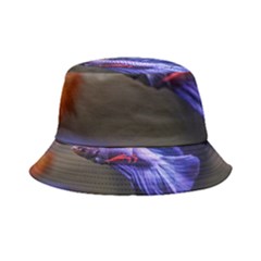 Betta Fish Photo And Wallpaper Cute Betta Fish Pictures Inside Out Bucket Hat