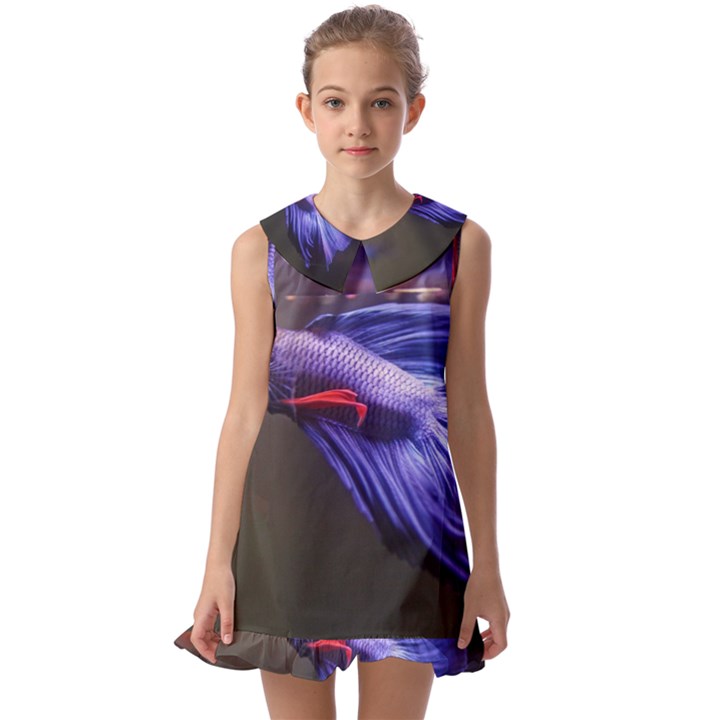 Betta Fish Photo And Wallpaper Cute Betta Fish Pictures Kids  Pilgrim Collar Ruffle Hem Dress