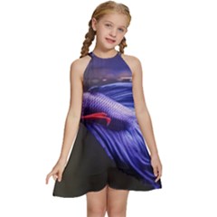 Betta Fish Photo And Wallpaper Cute Betta Fish Pictures Kids  Halter Collar Waist Tie Chiffon Dress by StoreofSuccess