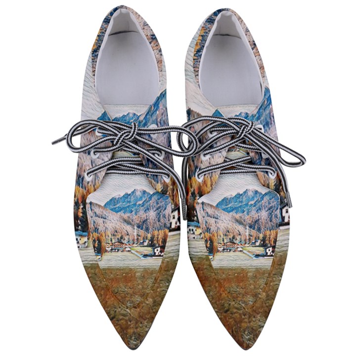 Trentino Alto Adige, Italy. Pointed Oxford Shoes