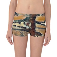 End Of The Day On The Lake Garda, Italy  Reversible Boyleg Bikini Bottoms by ConteMonfrey