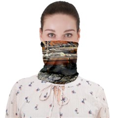 Art Boats Garda, Italy  Face Covering Bandana (adult)